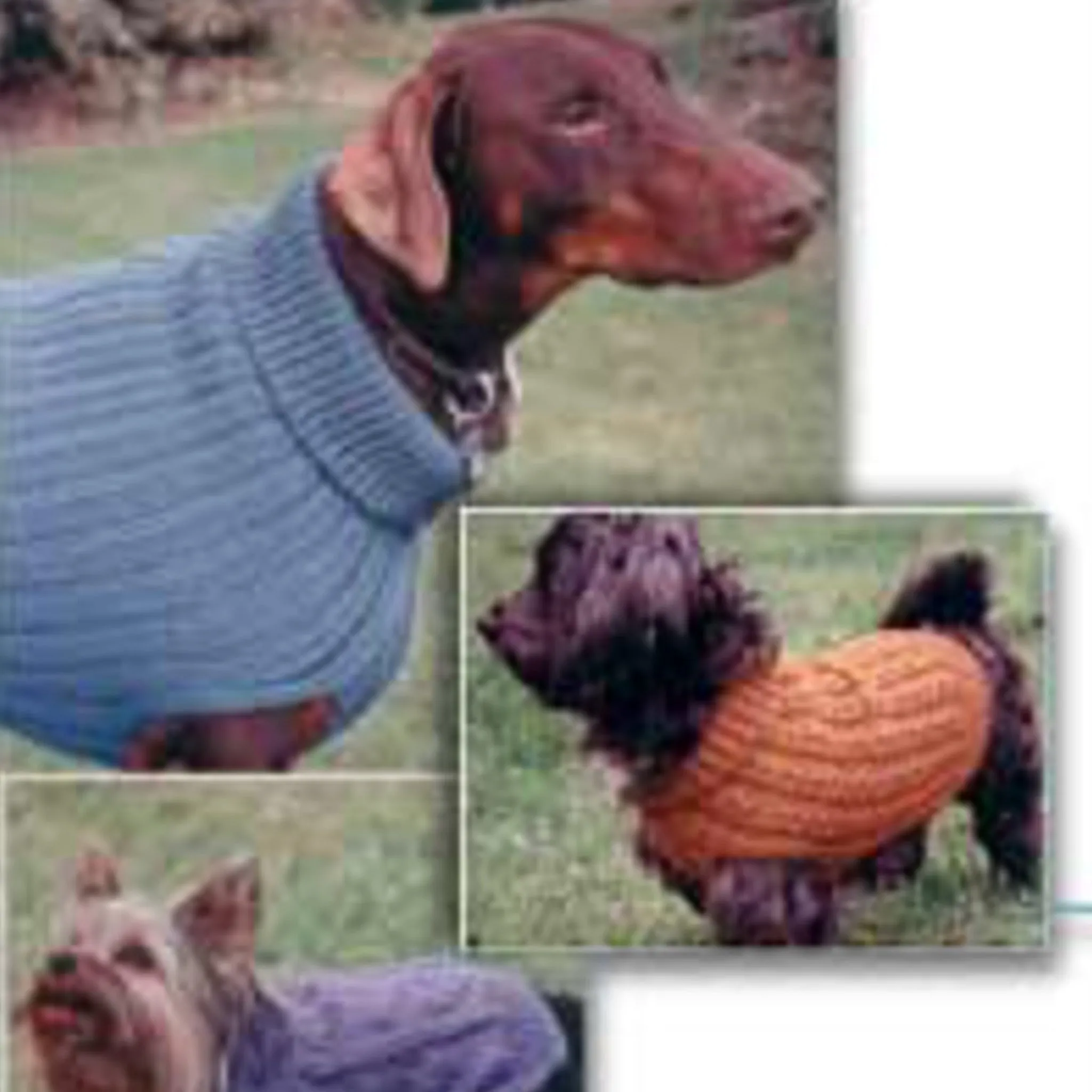 Dandy Dog Sweaters