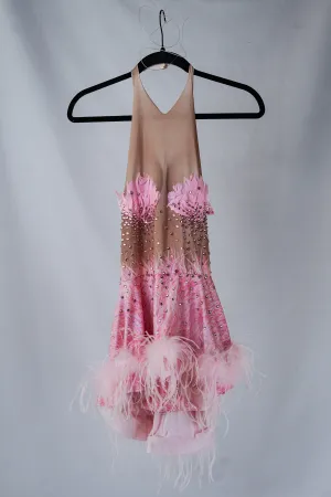 Pink and Tan Bodysuit with Skirt, Rhinestones, and Feathers