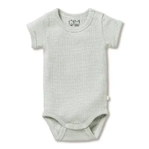 Wilson & Frenchy Organic Stripe Rib Bodysuit - Fern